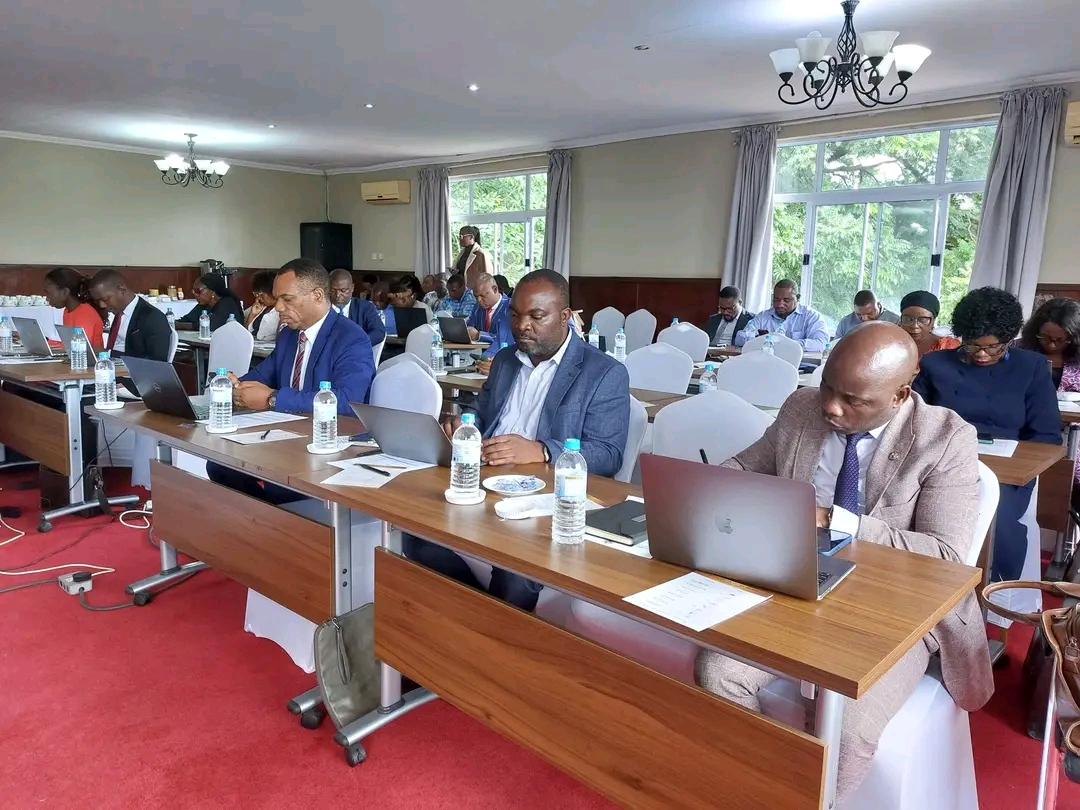 The opening of southern region consultation meeting for the development of National Arts and Heritage Council (NAHEC) strategic plan